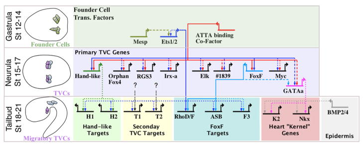 Figure 7