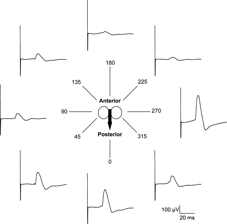 Fig. 2.