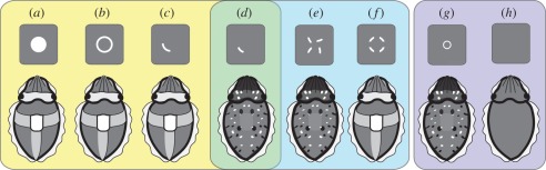 Figure 3.