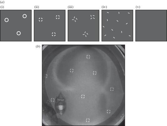 Figure 1.