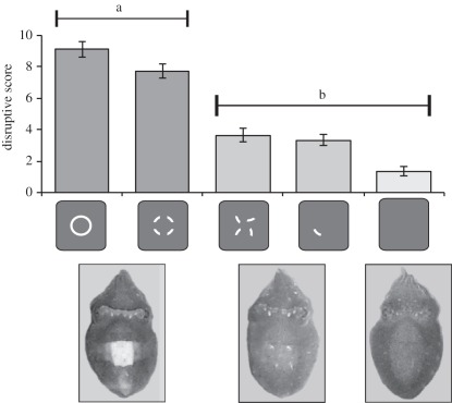 Figure 2.