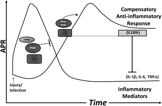 Fig. 8.