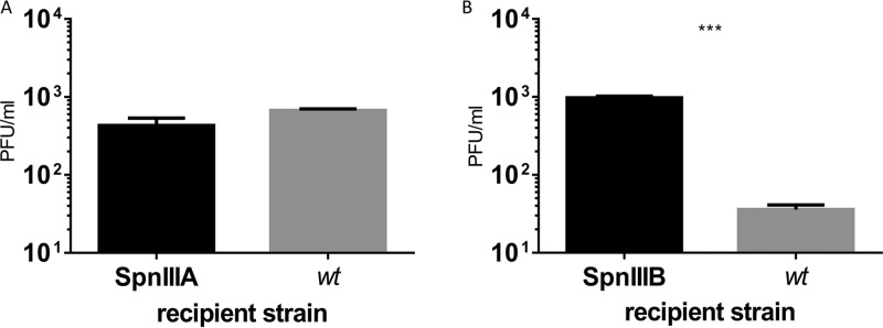 FIG 6