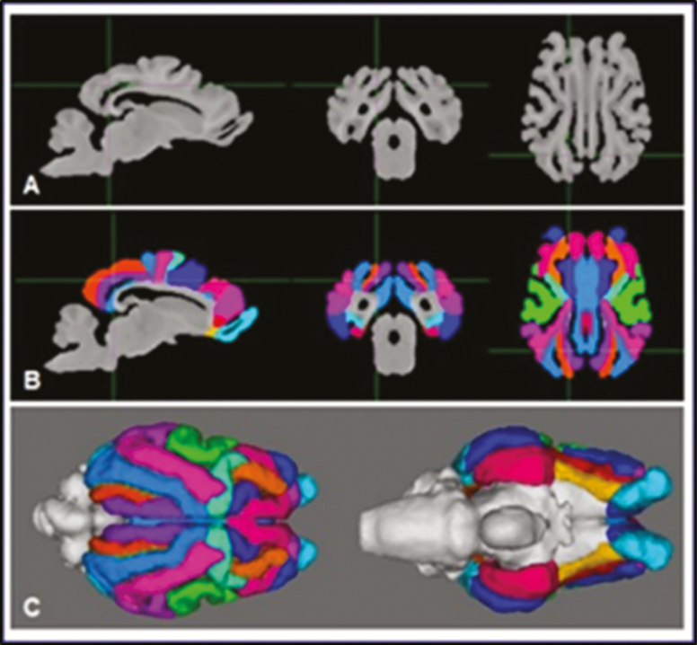 Figure 3.