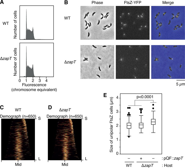 FIG 3