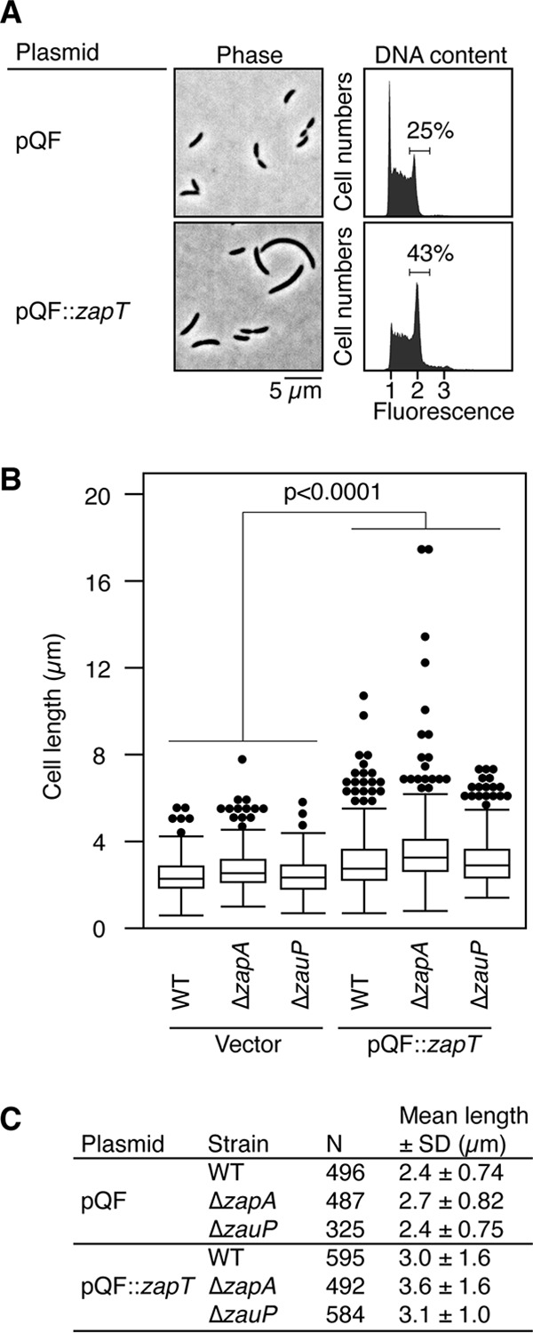 FIG 6