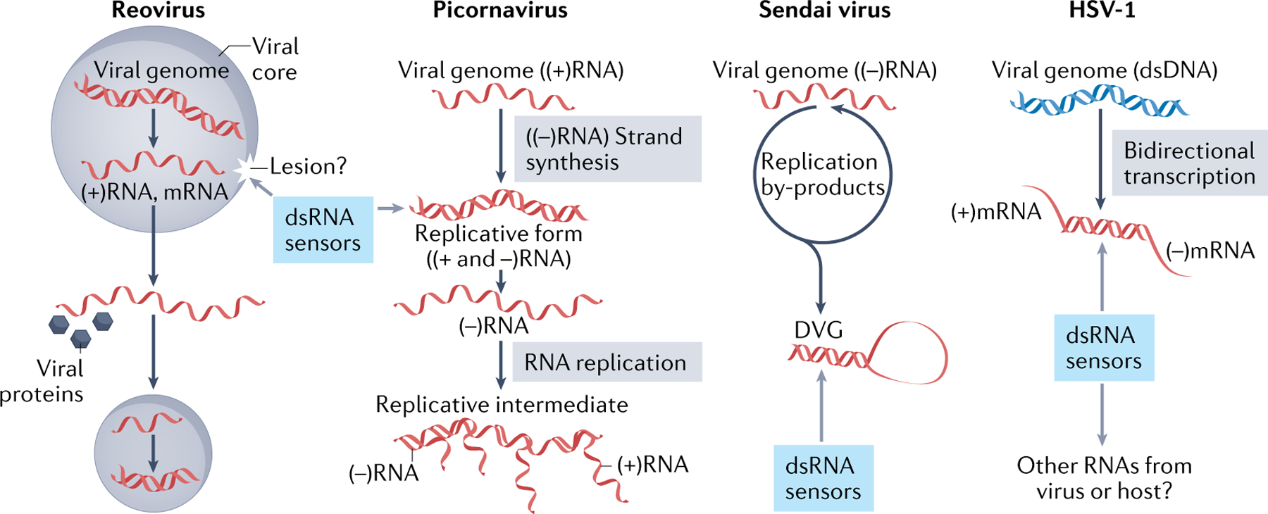 graphic file with name nihms-1783223-f0005.jpg