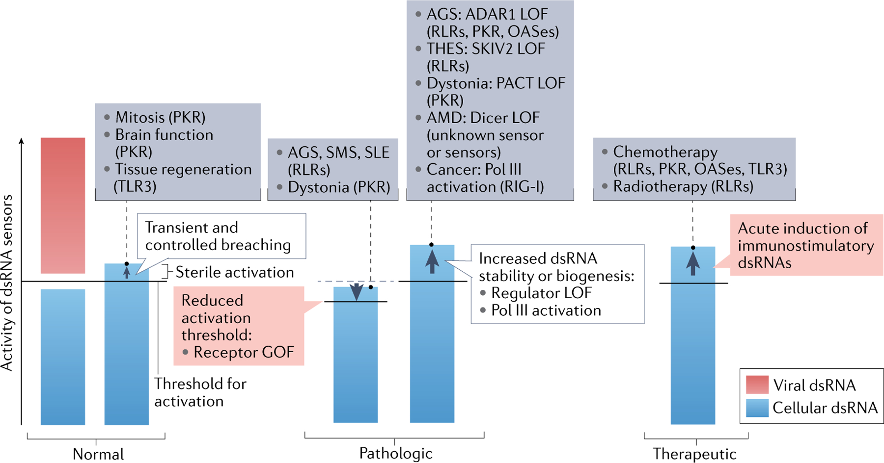 Fig. 4 |