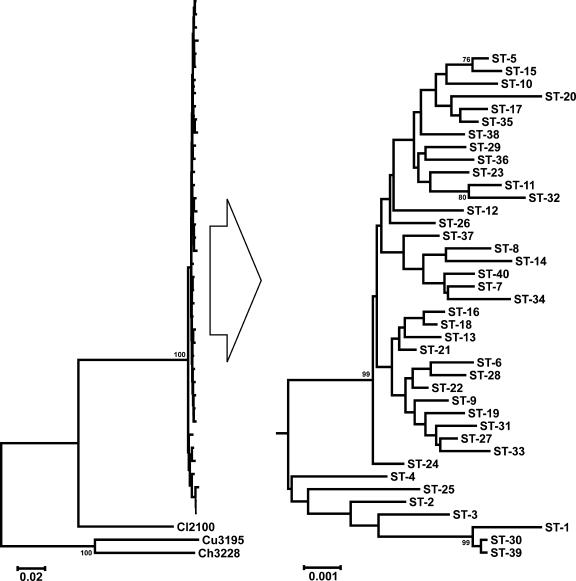 FIG. 2.