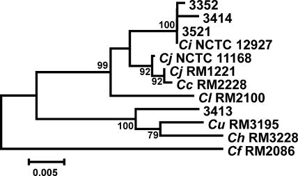 FIG. 1.