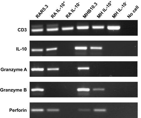 FIG. 8.