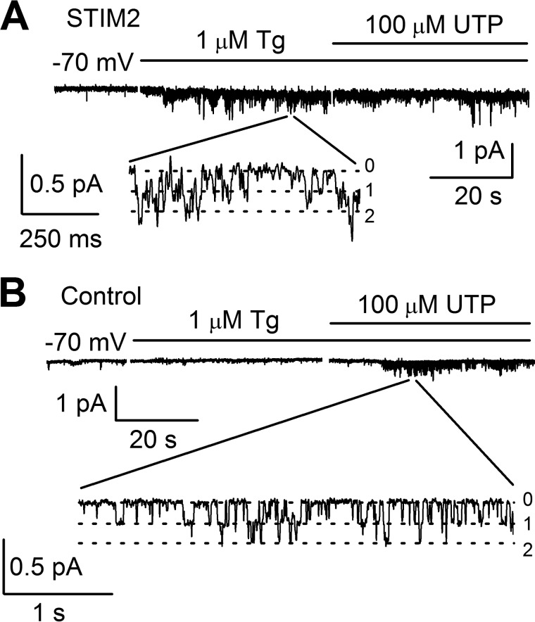 FIGURE 5.