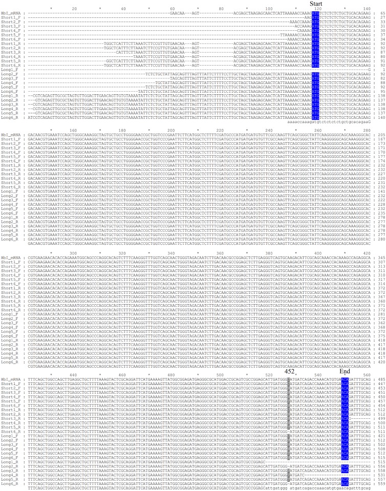 Fig 9