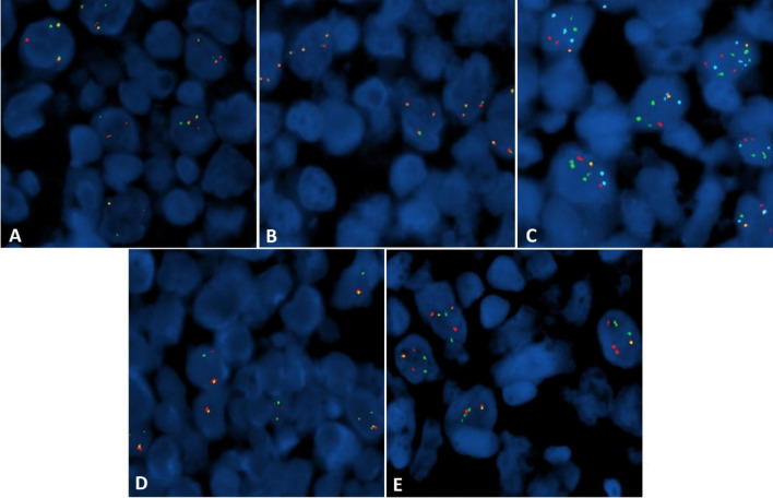 Fig. 3