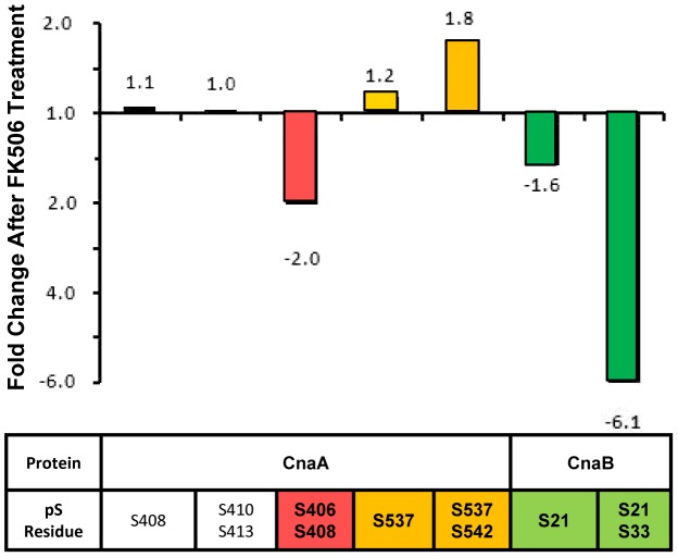 Figure 6