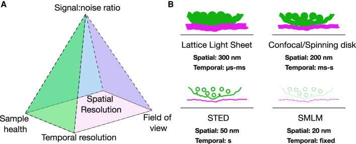 Figure 1.