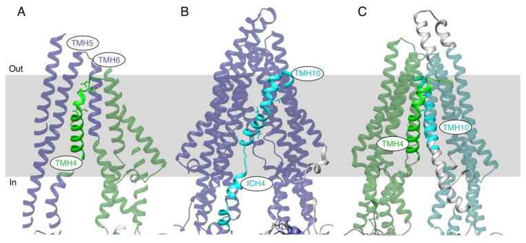 Figure 7