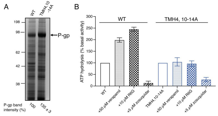 Figure 6