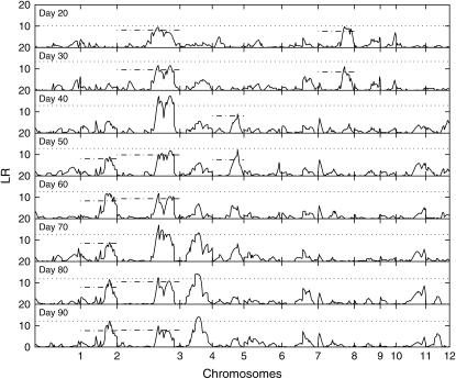 Figure 3.—