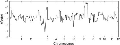 Figure 4.—