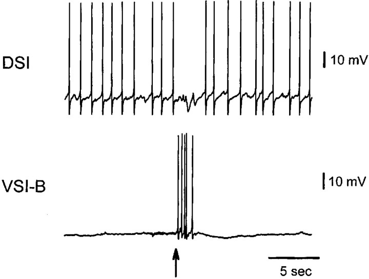 Fig. 9.