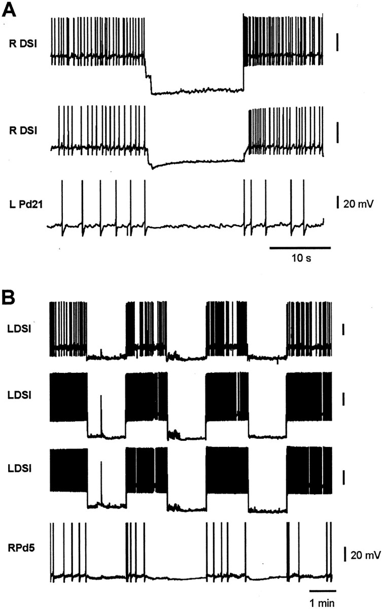 Fig. 5.