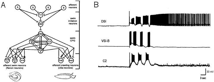 Fig. 1.