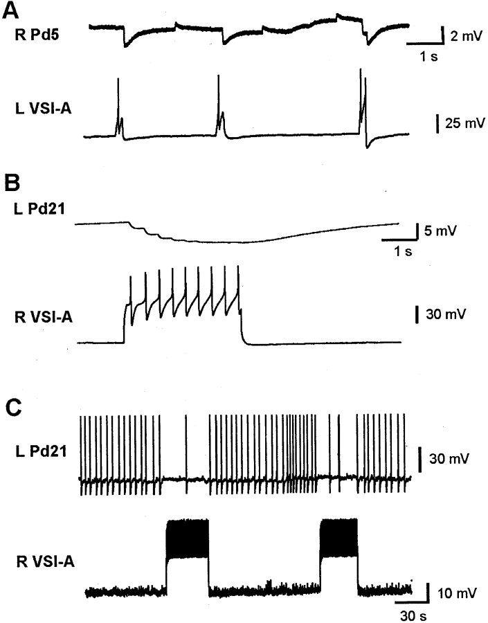 Fig. 7.