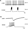 Fig. 8.