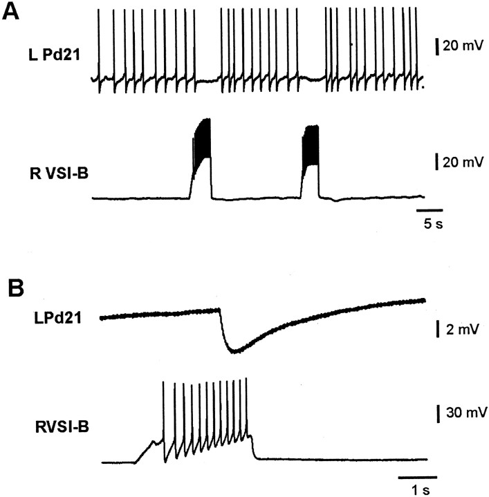 Fig. 8.