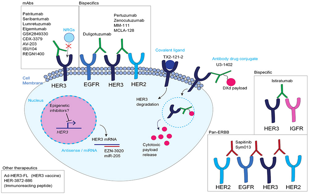 Figure 2: