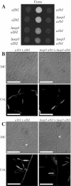 FIG. 3.