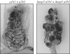 FIG. 6.