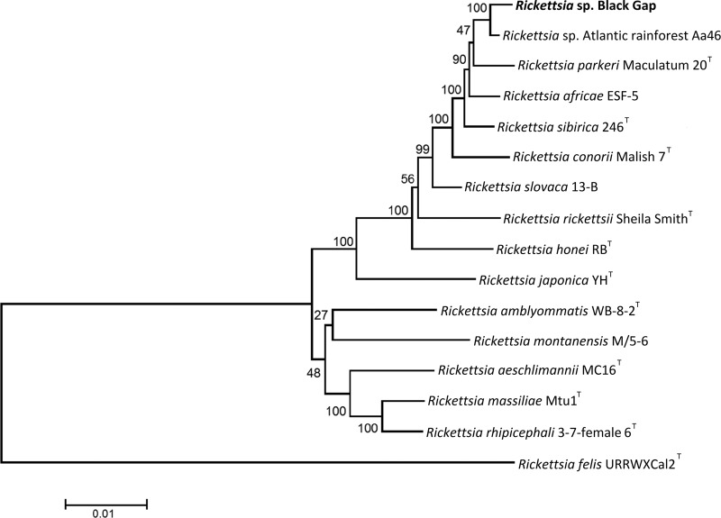 FIG 2