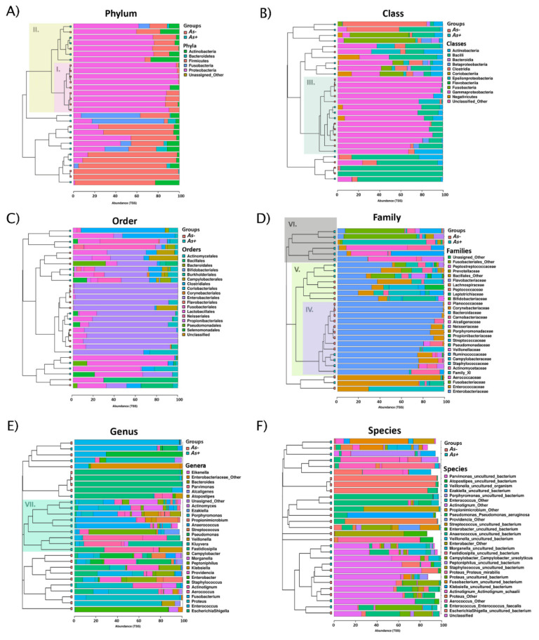 Actinotignum schaalii: Relation to Concomitants and Connection to ...