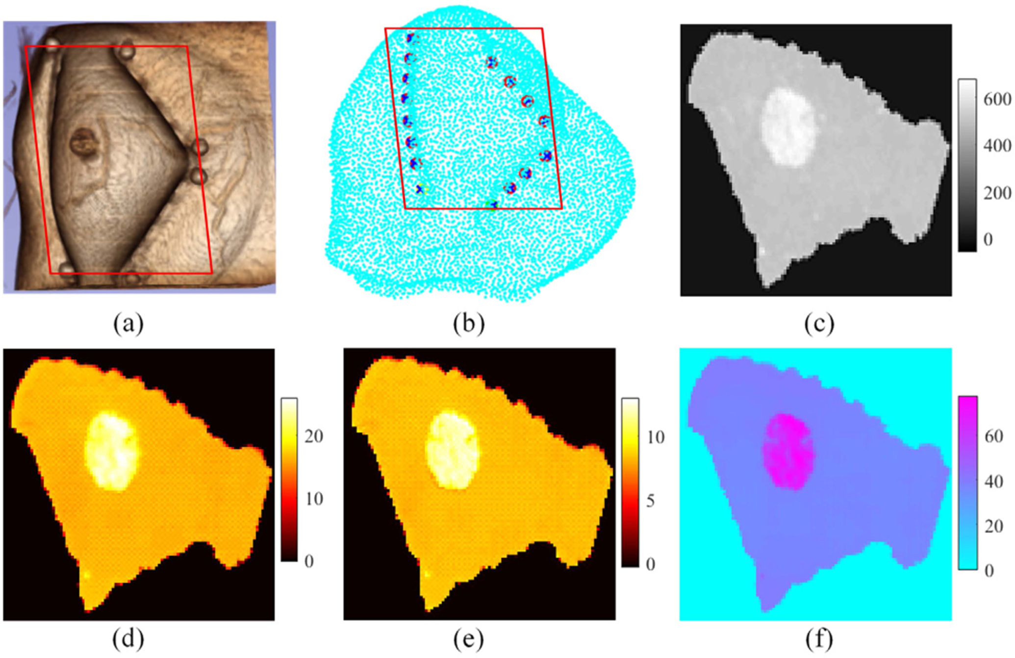 Fig. 3.