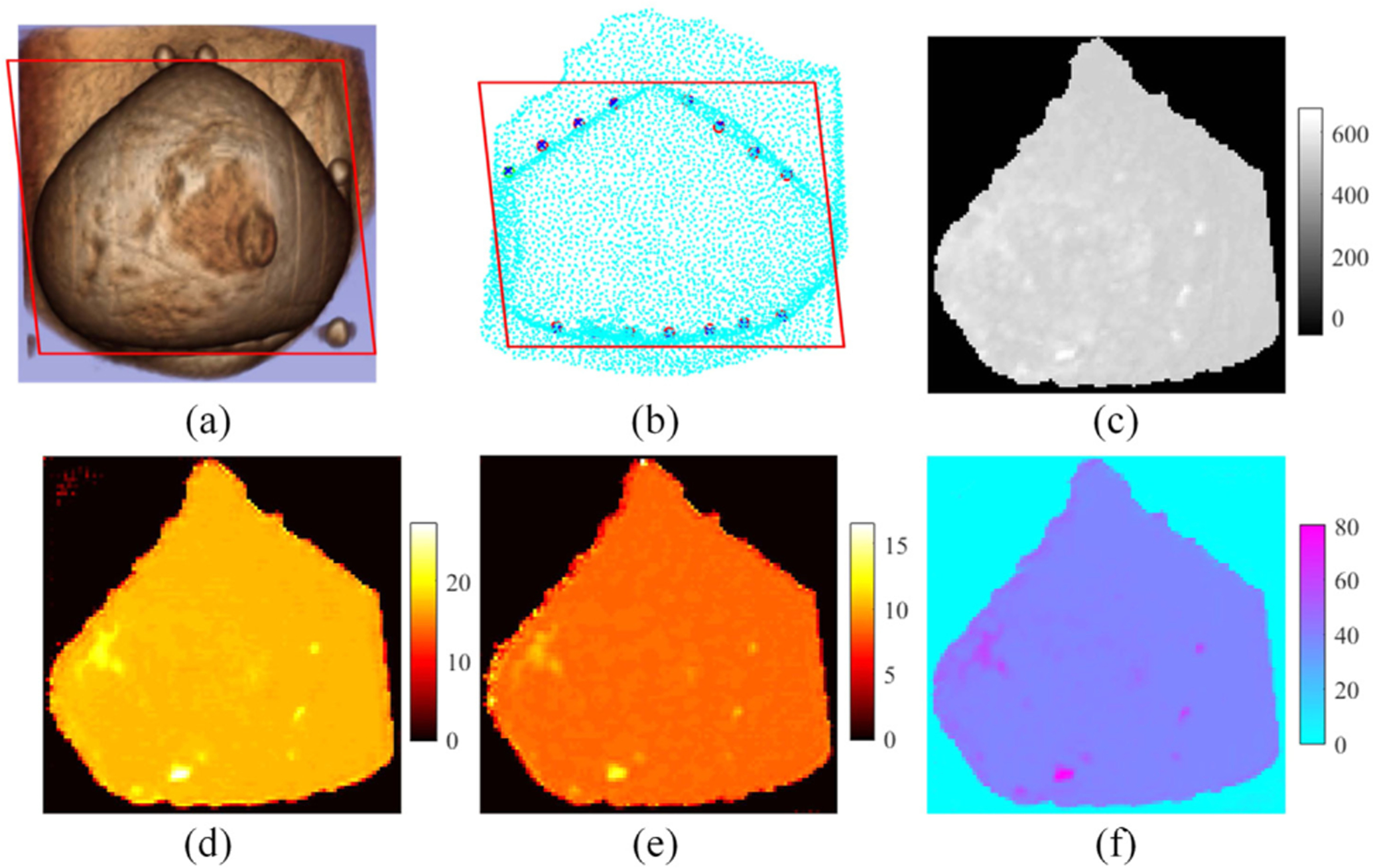 Fig. 4.