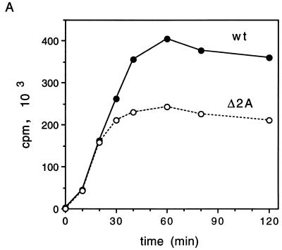 FIG. 6