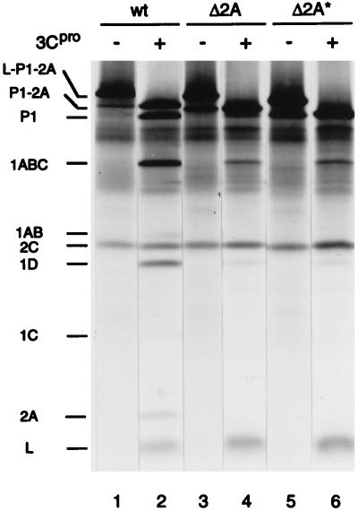 FIG. 7