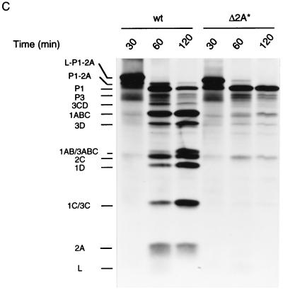 FIG. 6