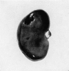 382-1