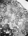 382-2