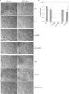 Fig 8