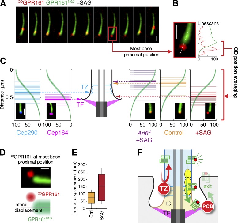 Figure 10.