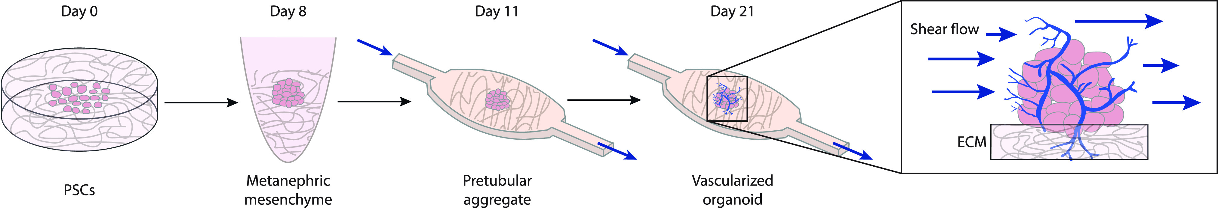 FIG. 7.