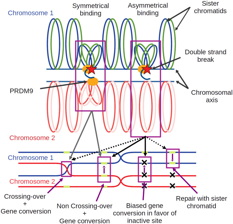 Fig 1