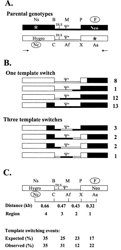 FIG. 6