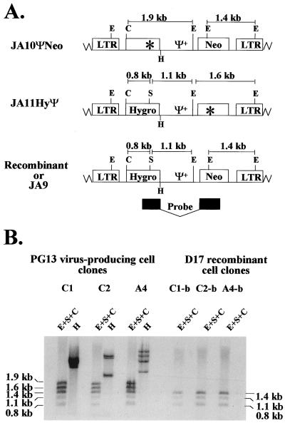 FIG. 4