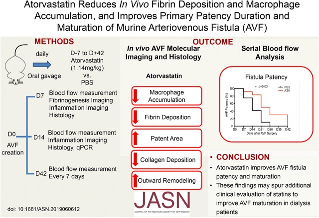 graphic file with name ASN.2019060612absf1.jpg