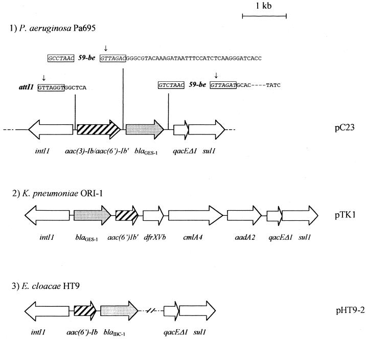 FIG. 1.